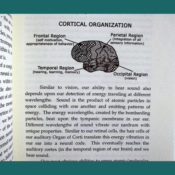 Book - My Stroke of Insight: A Brain Scientist's Personal Journey - Picture 9 of 13